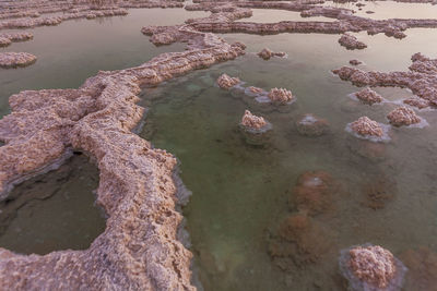 High angle view of rocks on beach