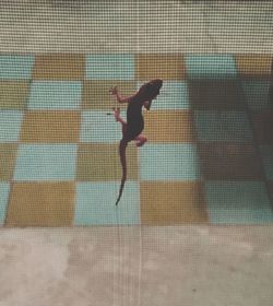 Full length of man jumping on floor