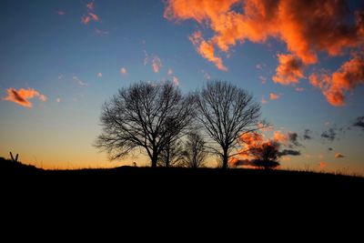 Silhouette trees on field against sky at sunset