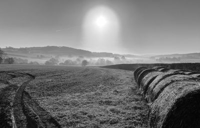 Scenic view of agricultural field against sky