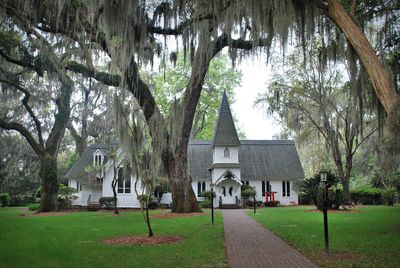 Trees and houses in park