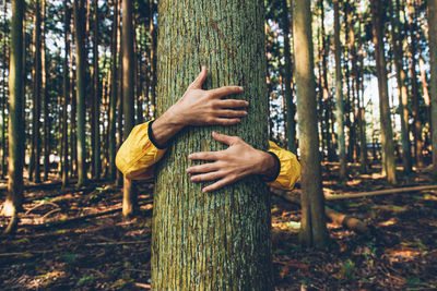 Woman hand holding tree trunk in forest