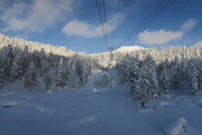 Snow covered trees against sky