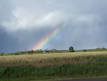 Scenic view of rainbow over field against sky