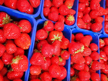 Full frame shot of strawberries in containers for sale at market stall