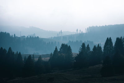 Trees on landscape against sky