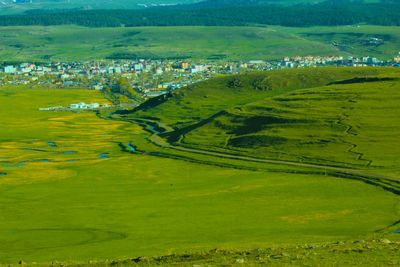 Scenic view of agricultural field