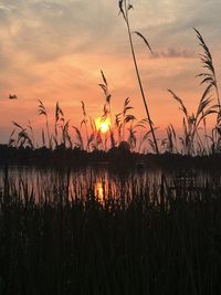 Silhouette plants by lake against romantic sky at sunset