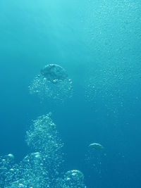 Bubbles in blue sea