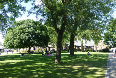 People in park