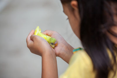 Close-up of girl holding bird outdoors