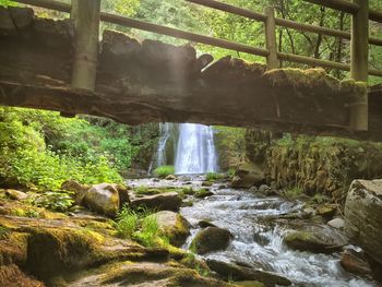 Scenic view of waterfall in forest
