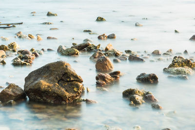 Rocks in sea