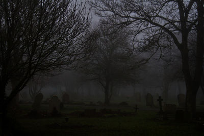 Trees in cemetery against sky