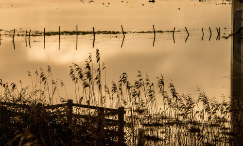 Scenic view of river against sky at sunset