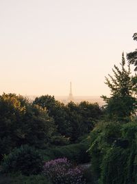 Trees on landscape against clear sky
