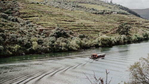 High angle view of river amidst trees