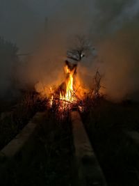 Close-up of illuminated bonfire at night