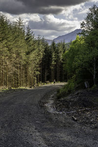 Road amidst trees in forest against sky