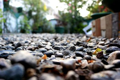 Surface level of pebbles