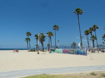 Palm trees on beach against clear blue sky