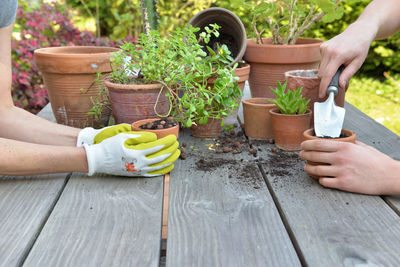 Midsection of people holding potted plant in yard