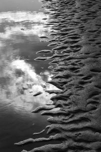 Reflection of trees in water