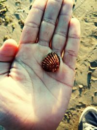 High angle view of human hand on beach