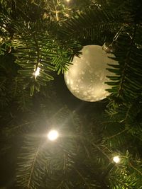 Close-up of illuminated lamp post