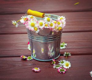 High angle view of flower pot on table