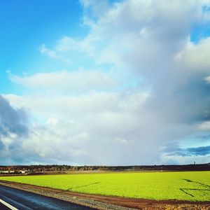 Scenic view of agricultural field against sky