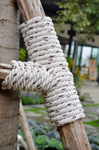 Close-up of rope tied on wooden post