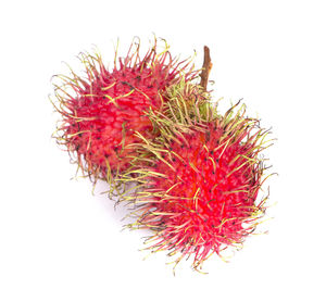 Close-up of red fruit against white background