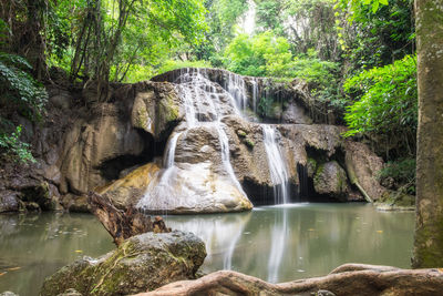 Scenic view of waterfall in forest