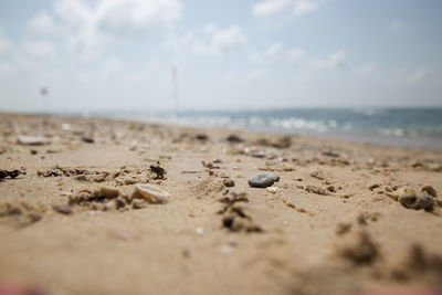 Surface level of sand on beach against sky