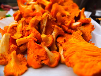 Close-up of orange salad in plate