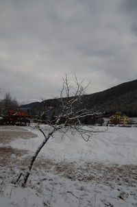 Scenic view of snow covered landscape against sky