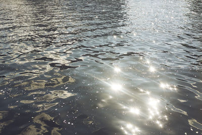 Reflection of trees in water