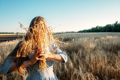 Ukrainian young woman holding wheat crop on field during sunny day. faceless portrait of