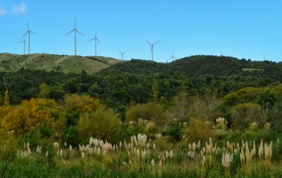 Wind turbines on grassy field