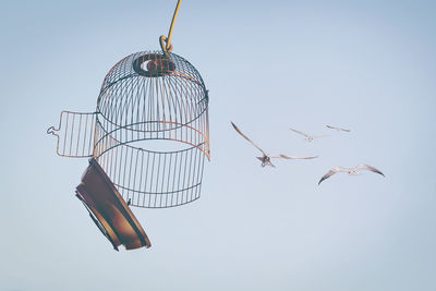 Low angle view of birds flying against sky
