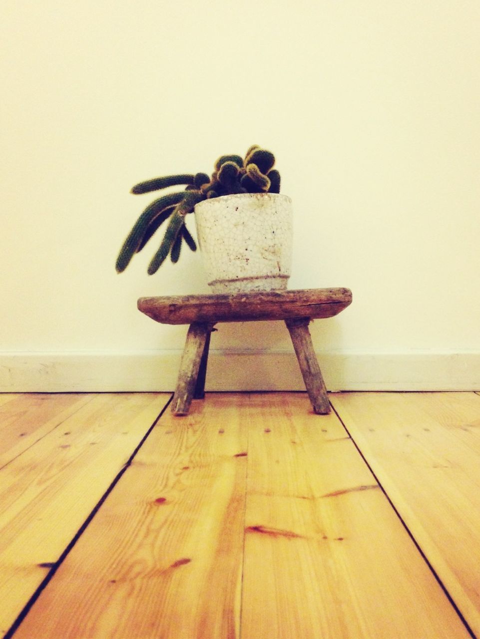 wood - material, wooden, copy space, wall - building feature, wood, clear sky, indoors, no people, sea, wall, day, shadow, hardwood floor, built structure, horizon over water, table, flooring, water, plank, door