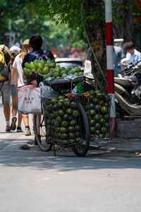 transportation