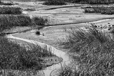 Full frame shot of landscape