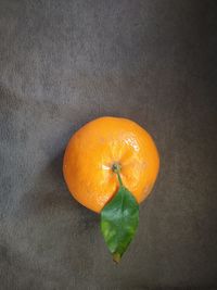 High angle view of orange fruit against black background