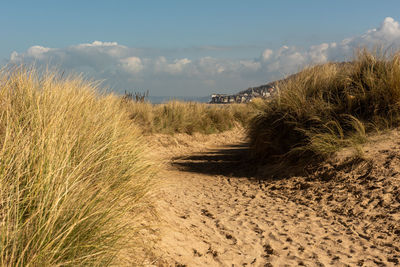 Scenic view of beach against sky