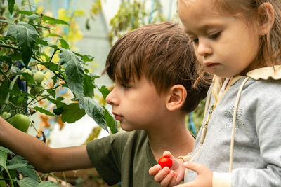 Close-up of girl holding plant