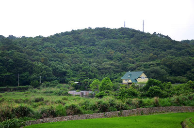Scenic view of field against clear sky