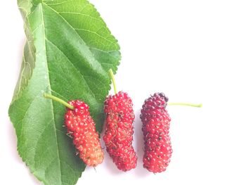 Close-up of strawberries