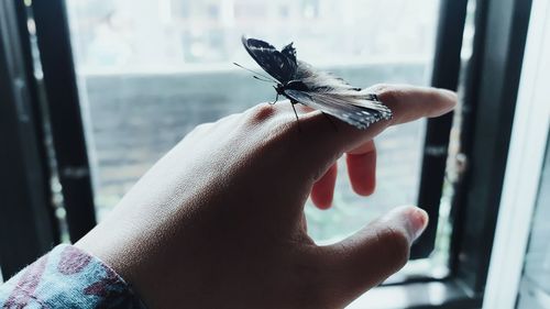 Close-up of hand holding glass window